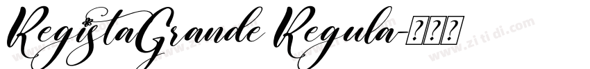 RegistaGrande Regula字体转换